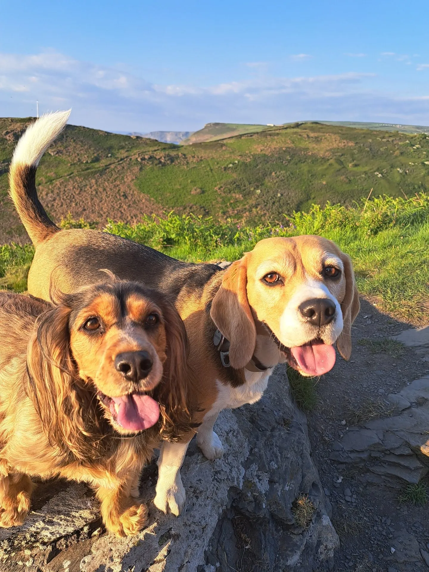Zoe with her beagle Primrose outdoors